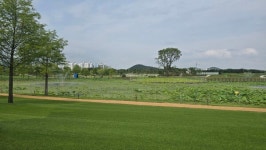 전국노래자랑 순천시편, 6년 만에 화려한 귀환… 준비는 착착, 16팀 무대 오른다