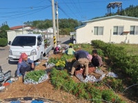고흥군, 점암면 신전마을 3년 연속 우수 으뜸마을 선정