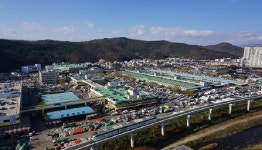 대구농수산물유통관리공사, 농림축산식품부 2024년 농산물 도매시장 평가 우수 개설자 선정