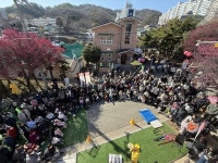 홍매화가 부른 봄… 순천 매곡동 탐매축제 1만 명 발길
