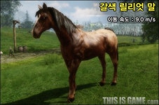 [아키에이지] 그 탈것 어디서 얻어요? 탈것 획득법과 정보 총정리