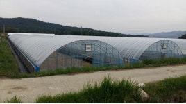 강진군, 원예하우스 현대화로 생산량과 품질↑ 경영비↓