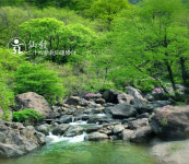 민족종교 선교(仙敎), 선교수행 선도 포덕교화로 인류의 신성회복 기원