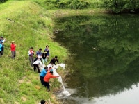 합천군 대양면 마을저수지 붕어치어 16만 여 마리 방류