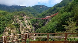 거창 항노화힐링랜드, Y자형 출렁다리 트레킹길 조성