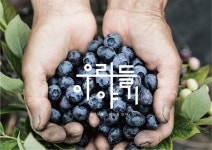 우리들이야기, 온라인 로컬푸드 직매장 ‘우리로컬푸드’ 런칭... 제철 농산물을 농가에서 직접 소비자에게 전달