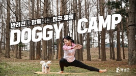 “반려동물도 코로나 블루” 땅끝해남에서 활력 충전하세요