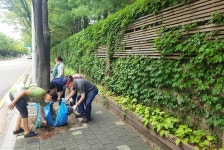 마을 도로변 환경정화