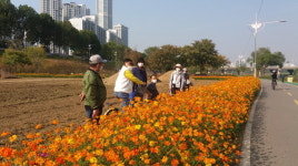 양천구 신정2동, 나비남 마을공정여행 실시