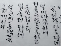 강진군도서관, 백사 정윤식 선생과 함께하는 우서회 작품 전시회 개최