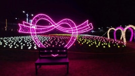 안성시, 안성천 일원에 야간조명 설치