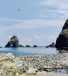 독도리 화제 이유는?... 핫이슈 등극한 천혜의 풍경 감동 확산