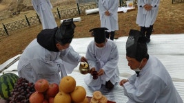 코로나19 극복 위한 화양리 소나무 당산제 개최