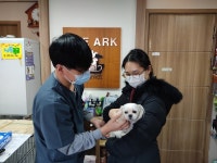동작구, 동물보호센터서 유기동물 입양 구민에 최대 30만원 지원