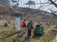 합천군 묘산면, 소각 산불방지 잔가지 파쇄기 운영