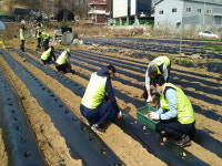 고양시 행주동 주민자치위원회, ‘사랑의 감자심기’로 이웃사랑 적극 실천