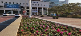 고양시 덕양구, 봄꽃 식재로 청사 새단장