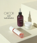 사라나라, 뷰티 편집숍 시코르 입점