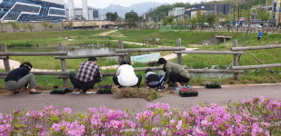고양시 창릉동, 봄맞이 마을 꽃심기 행사 펼쳐