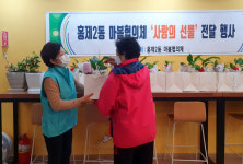 서대문구 홍제2동주민센터 식물 키우GO! 행복 키우GO! 반려식물 지원사업 호평