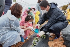 아이들과 고구마 순 심기 체험