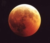 개기월식 화제 이유는?... 핫이슈 등극한 색다른 한 장의 사진 시선 집중