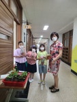 용인 토월초, 나팔꽃 모종 나누기 행사로 감성포텐 UP !