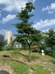 고양시 동물보호센터, 산책로 정원 새단장