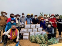 고양시 백석2동 주민자치위원회, 사랑의 감자 수확