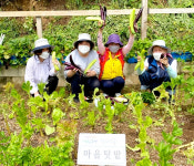 중랑구 신내2동 주민센터, 어려운 이웃 위해 상추 전달