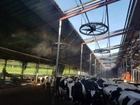 해남군, “가축 폭염 피해 막아라” 지원 총력