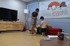 노원구, 반려동물 사전 체험 프로 ‘내가할개’ 운영