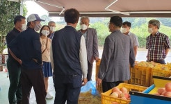 순천시의회, ‘순천명품 월등복숭아 체험행사’ 취소··· 현장 방문