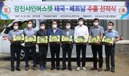 강진産 샤인머스캣 동남아 수출