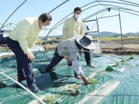 조근제 함안군수, 시설하우스 강풍 피해현장 점검