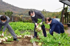 중랑구, 구청 직원들이 기른 사랑의 김장채소 나눔행사 진행