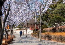 용산구, 효창공원 일대에 태극기 거리 조성