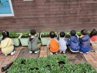 고양시 중산1동 봄맞이 초화심기 행사 개최