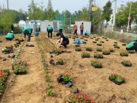 시흥시 신현동 행정복지센터, 포동운동장 입구 마을꽃밭 조성