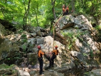 성남소방서, 실종 80대 치매노인 수색중 발견