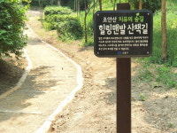 도봉구, 초안산근린공원 치유의 숲길에 황토볼·마사토 ‘맨발길’ 1km 조성