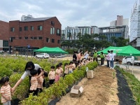 봄 감자 캐기 체험학습