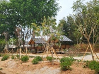 해남군, ‘탄소저감 ESG 도시숲’ 4개소 조성