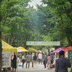 고양특례시 일산동구 강촌 손길마켓 개최