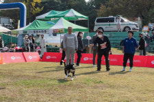 광진구, 반려동물 축제 ‘멍토피아 운동회’ 성료