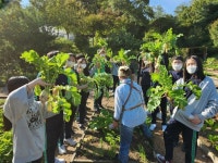 은평구 향림도시농업체험원, ‘모두와나눔텃밭’서 수확한 친환경 농산물  기부