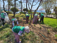 진주시 대평면 새마을부녀회, 도로변 꽃길 조성
