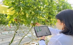 광주농업기술센터, 지역특화 스마트팜 생산성 향상 실증사업