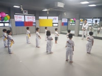 캥거루태권도, 유치부부터 초중등부 클래스 신규 원생 모집