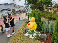 성주군, 통학로 조성 자녀안심 그린숲 조성